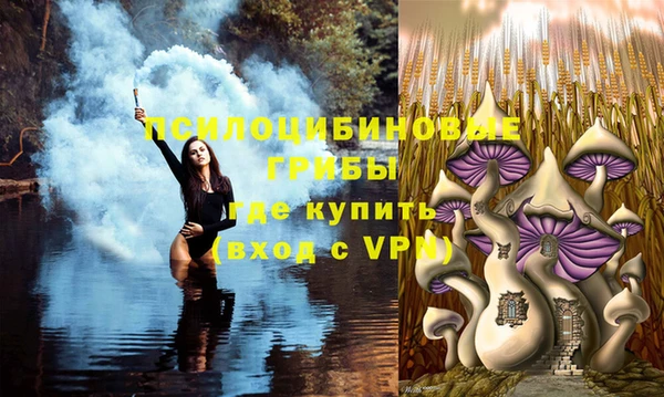 бошки Абдулино